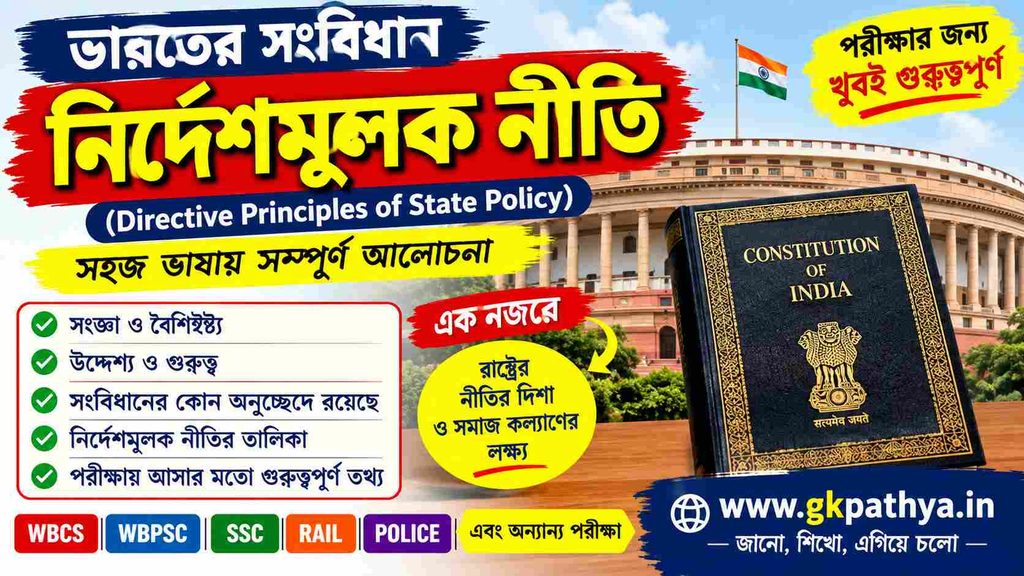 নির্দেশমূলক নীতি