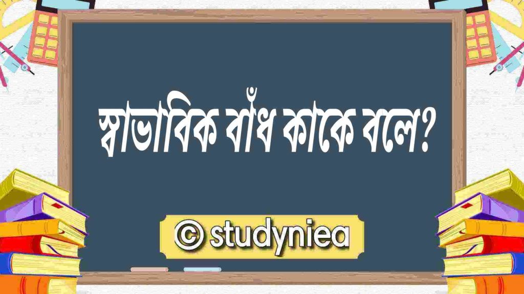 স্বাভাবিক বাঁধ (Natural Levee) – গঠন, বৈশিষ্ট্য ও গুরুত্ব: